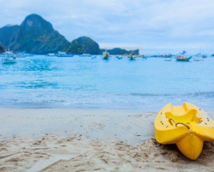 demo-attachment-2145-Image-1